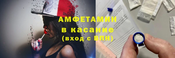 твердый Дмитров
