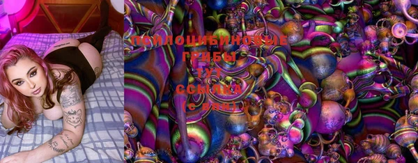ешки Кодинск