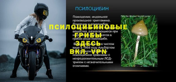 ALPHA-PVP Аркадак