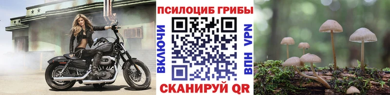 Псилоцибиновые грибы мицелий  Кирово-Чепецк 