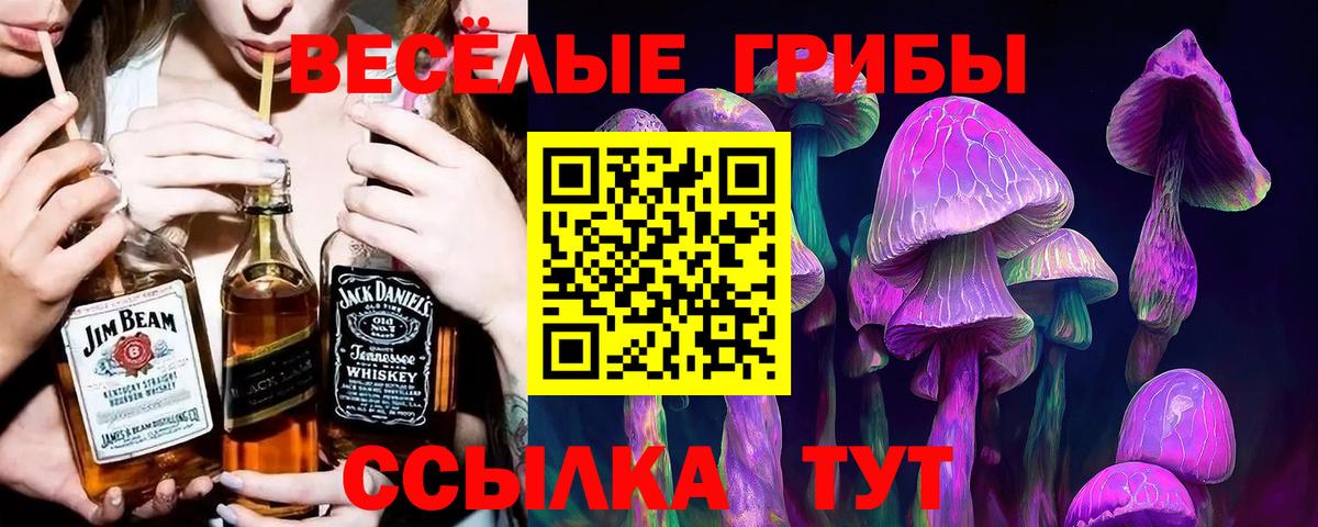 Псилоцибиновые грибы MAGIC MUSHROOMS  Вход с VPN  Псилоцибиновые грибы Magic Shrooms  Кирово-Чепецк 