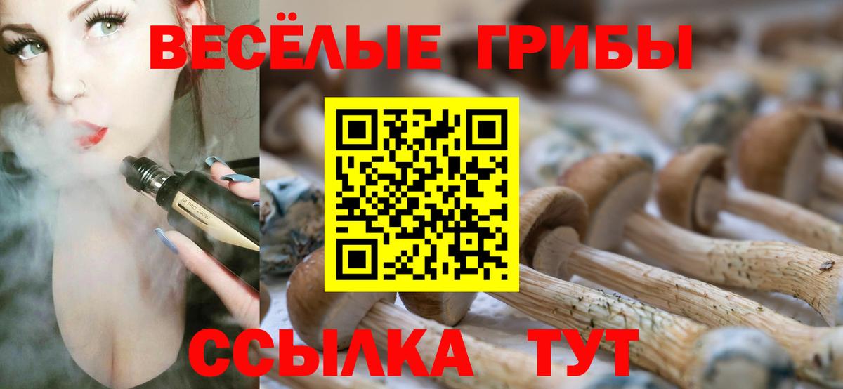 Галлюциногенные грибы мухоморы Кирово-Чепецк